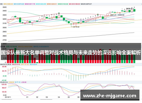 国家队最新大名单调整对战术格局与未来走势的深远影响全面解析
